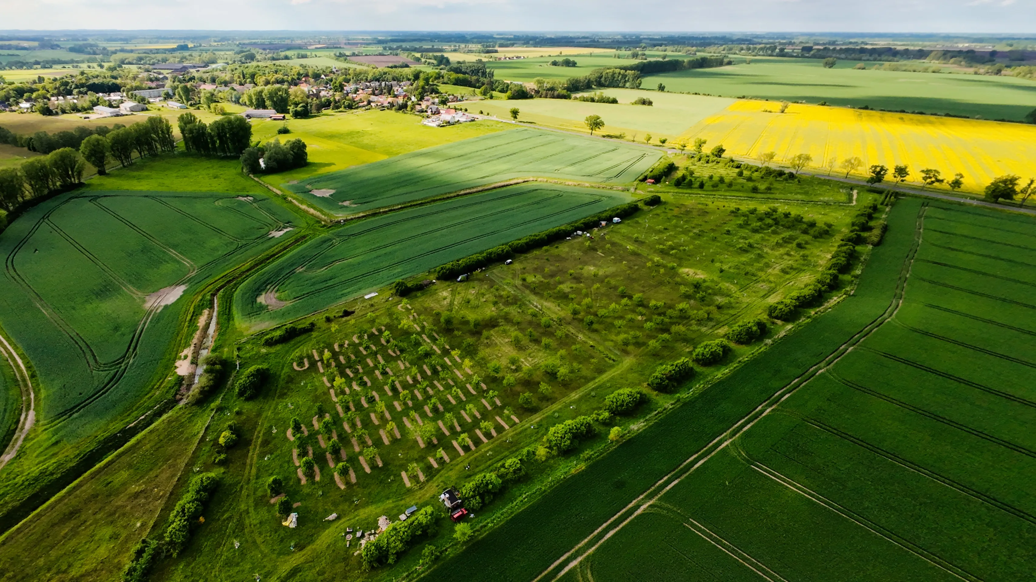 Obstwiese im Mai 2024 aus der Vogelperspektive