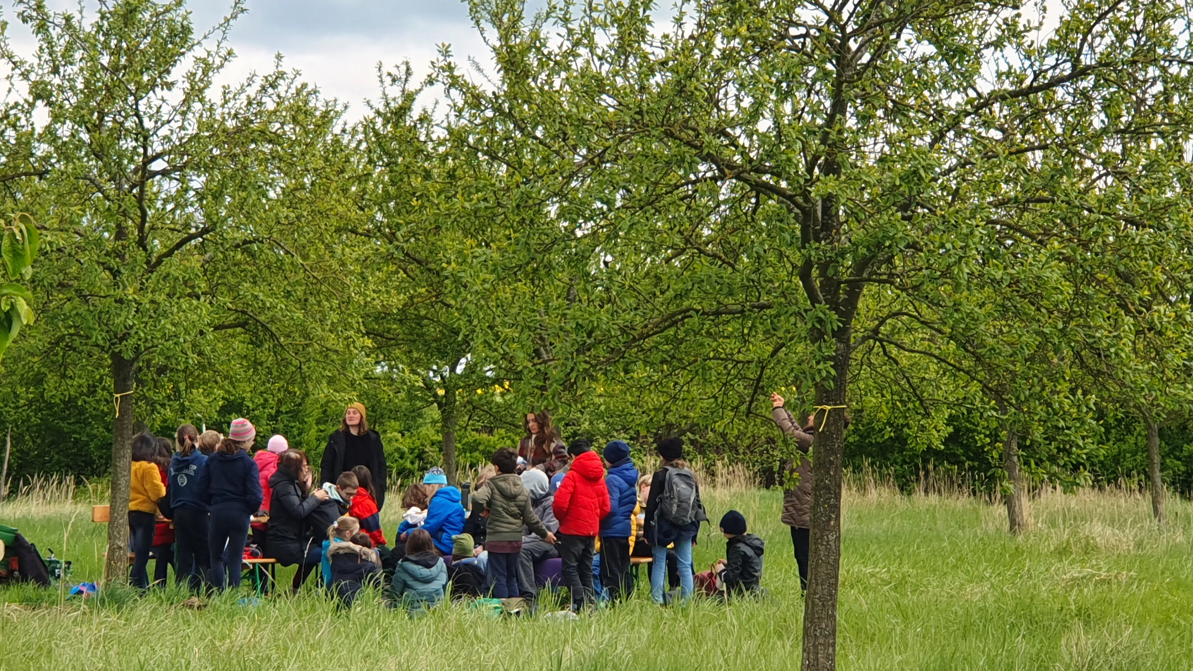 Schulklasse auf der Obstwiese